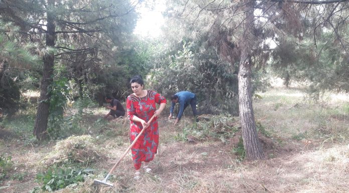 Иштироки ҳайати омӯзгорону кормандони факултети механикаю математика дар шанбегии умумидонишгоҳӣ